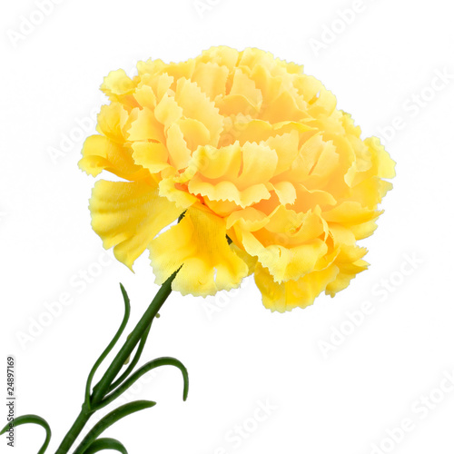 Yellow flower