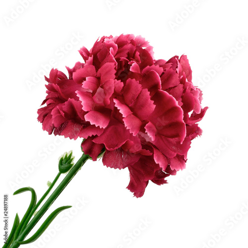 Red flower