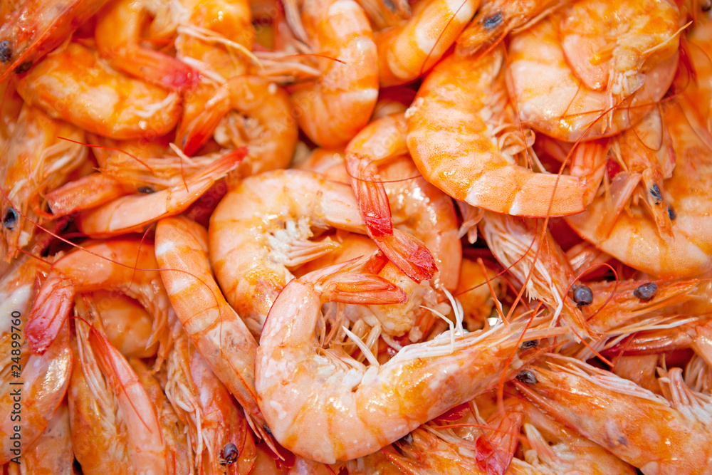 cooked shrimp in closeup as background cooked shrimp in closeup as background