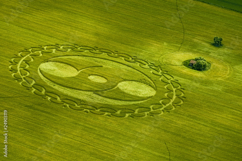 Crop circle vu d'avion et maisonnette