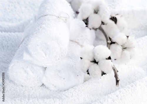 White Cotton Towels and cotton plant © Subbotina Anna