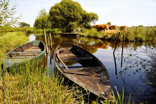 Marais de la Grande Brière (Loire-Atlantique)