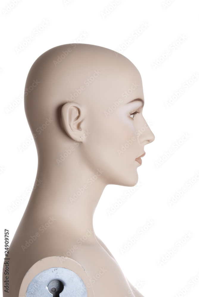 Head of the female mannequing | Studio isolated