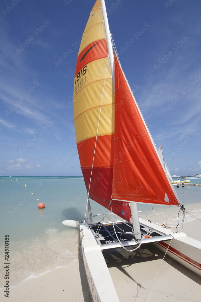 Fototapeta premium catamarano aruba