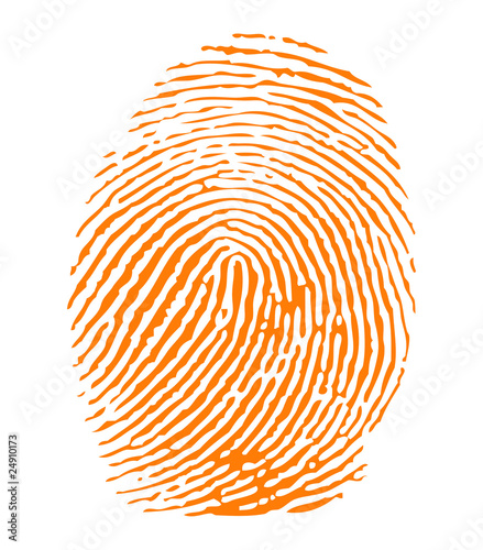 Orange fingerprint vector
