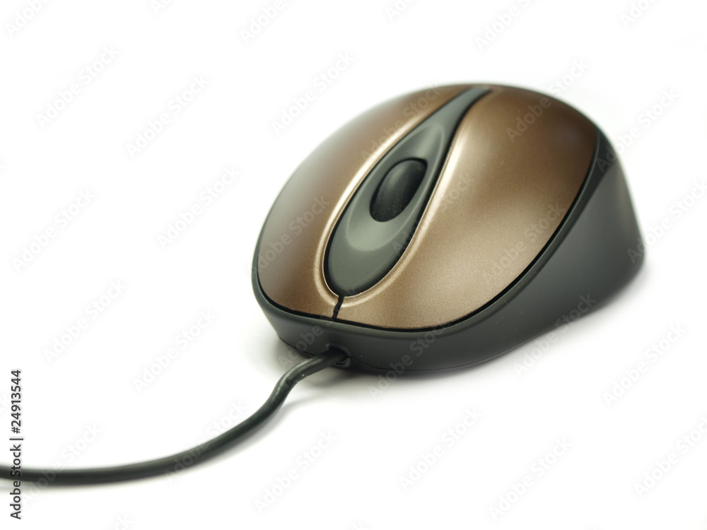 Computer mouse on white background Computer mouse on white background