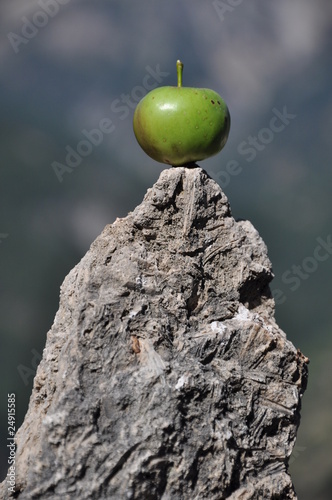 mela in equilibrio photo