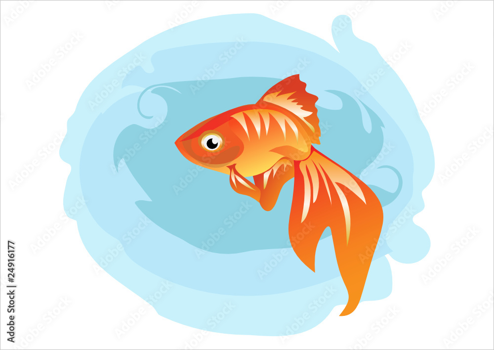 Золотая рыбка / Goldfish Золотая рыбка / Goldfish