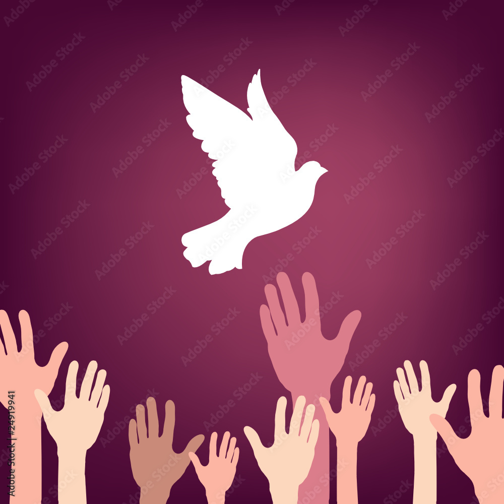 Fototapeta premium A lot of hands releasing white dove of peace.