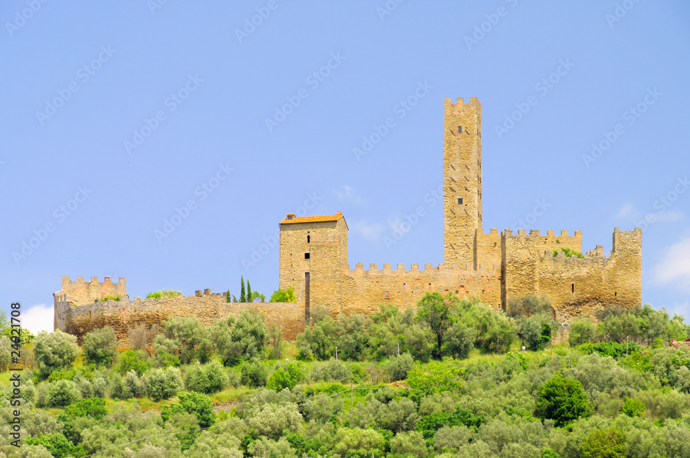 Castello di Montecchio Vesponi 03
