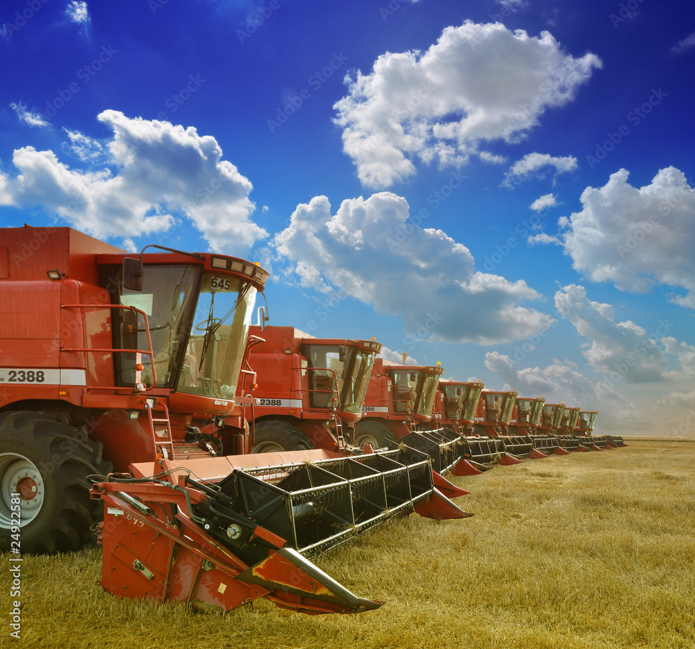 Fototapeta premium Combine harvesters