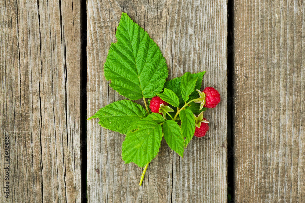 Raspberry twig on wooden background Raspberry twig on wooden background