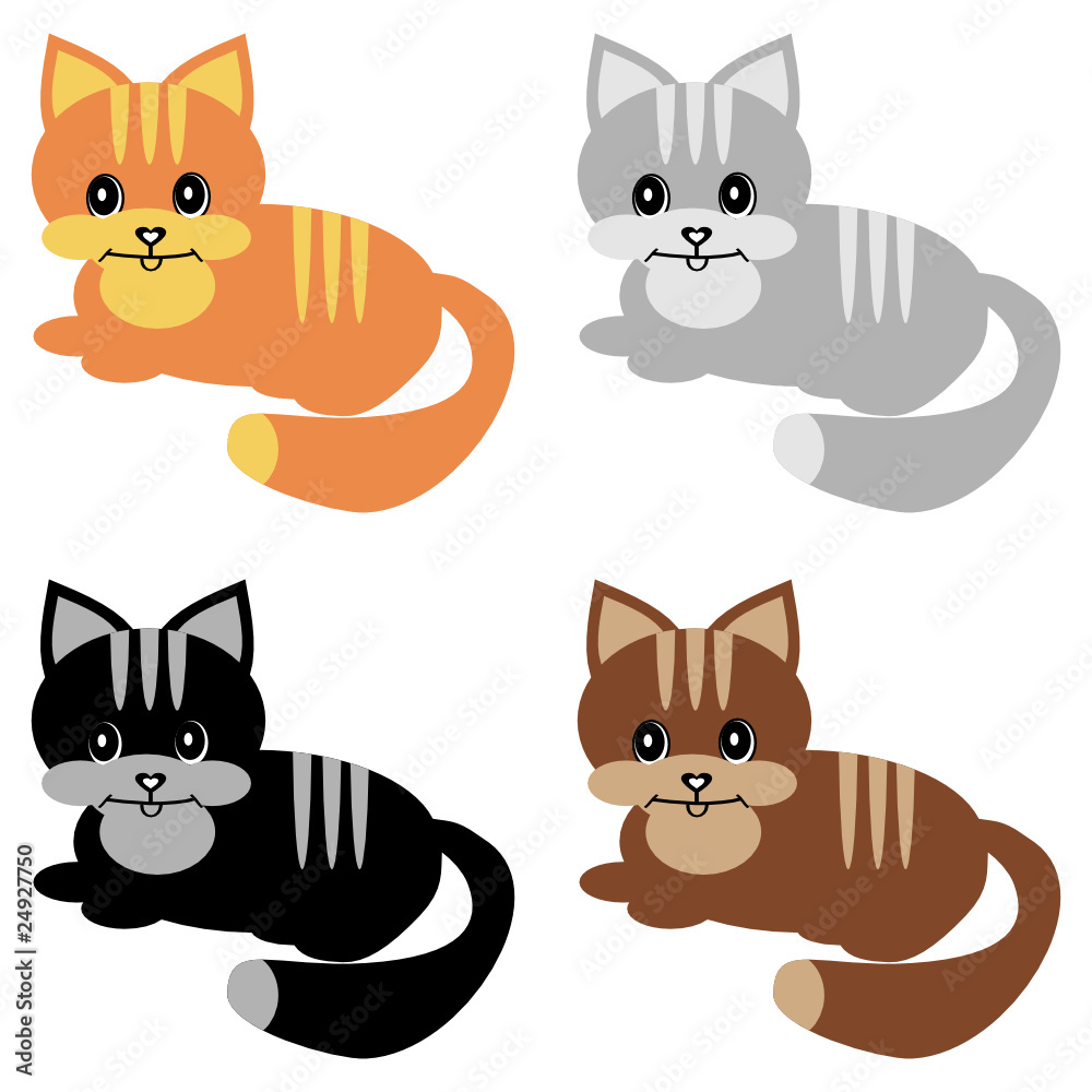 four nice cats on white