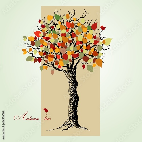 Autumn tree