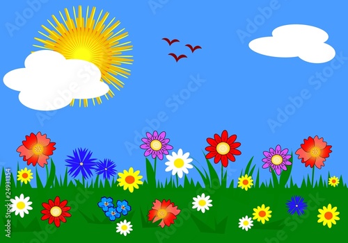 Grass and flowers