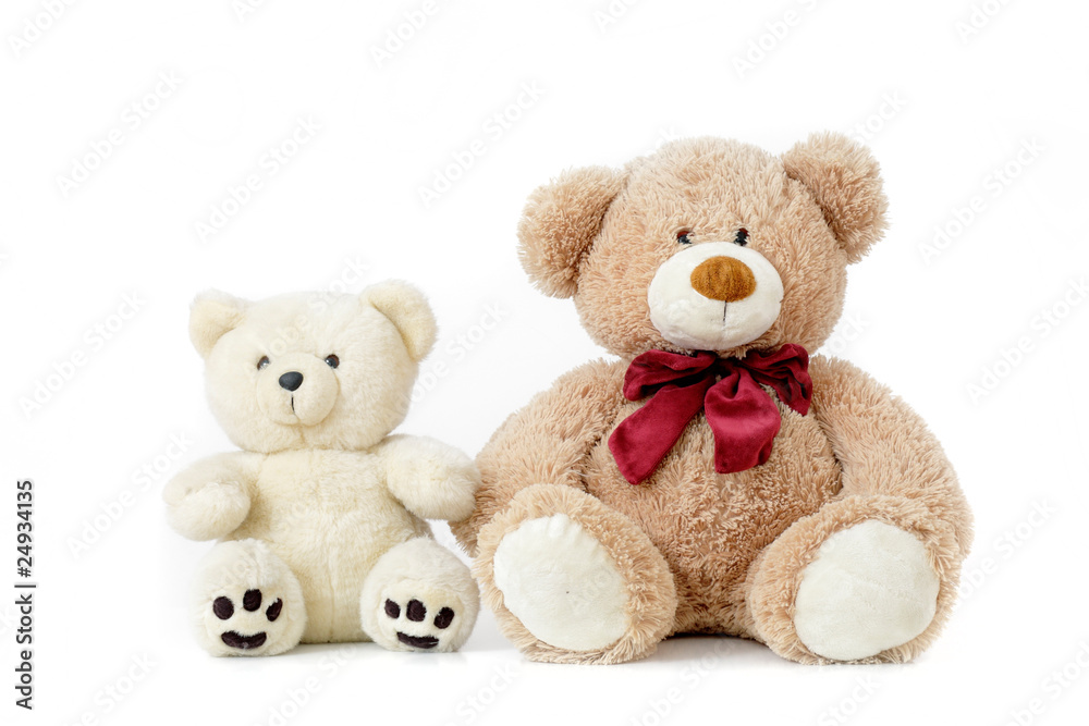 Fototapeta premium Two fluffy teddy bears isolated on a white background