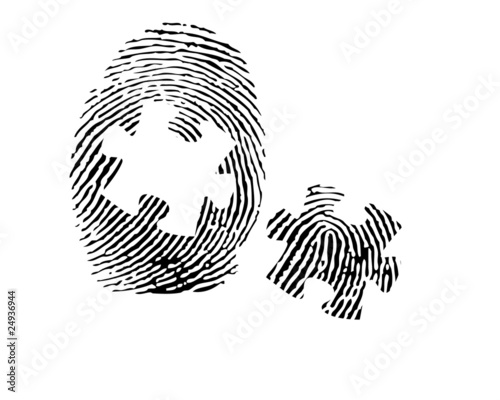 Fingerprint with a puzzle vector
