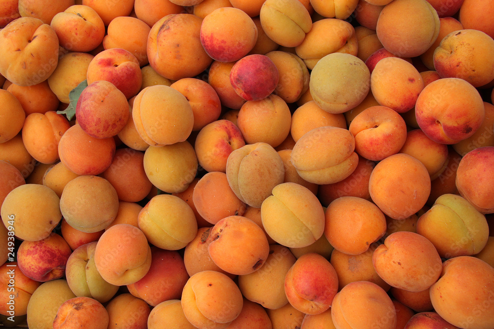 Abricots Abricots