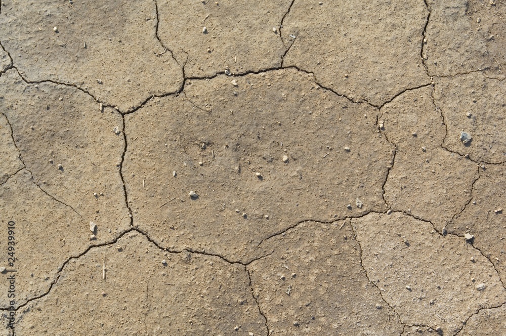 Fototapeta premium Broken dry clay texture