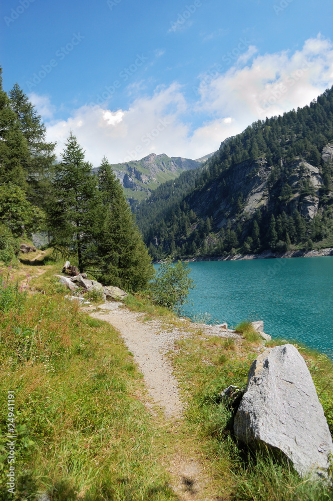 trail by the alpine lake trail by the alpine lake