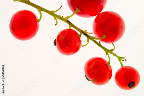 Johannisbeeren
