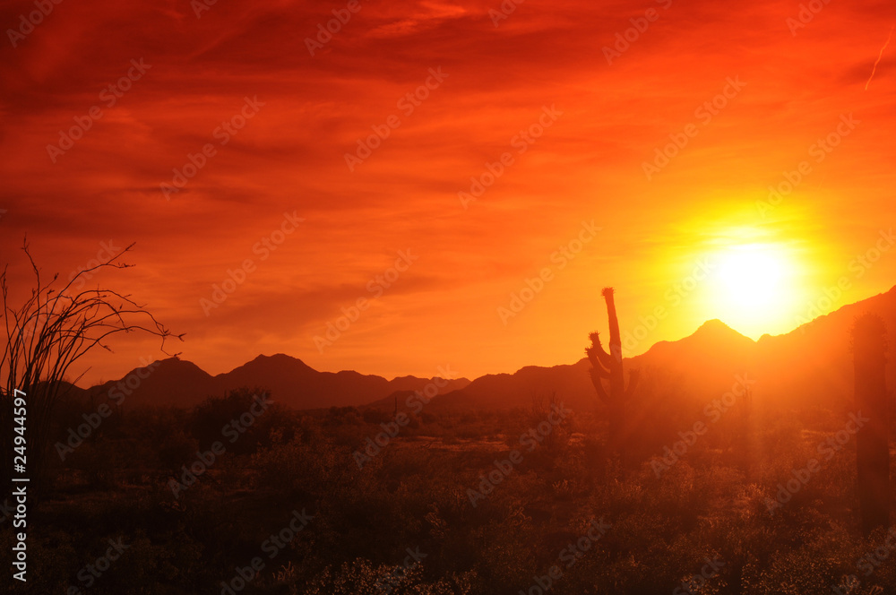 Obraz premium Desert Sunset