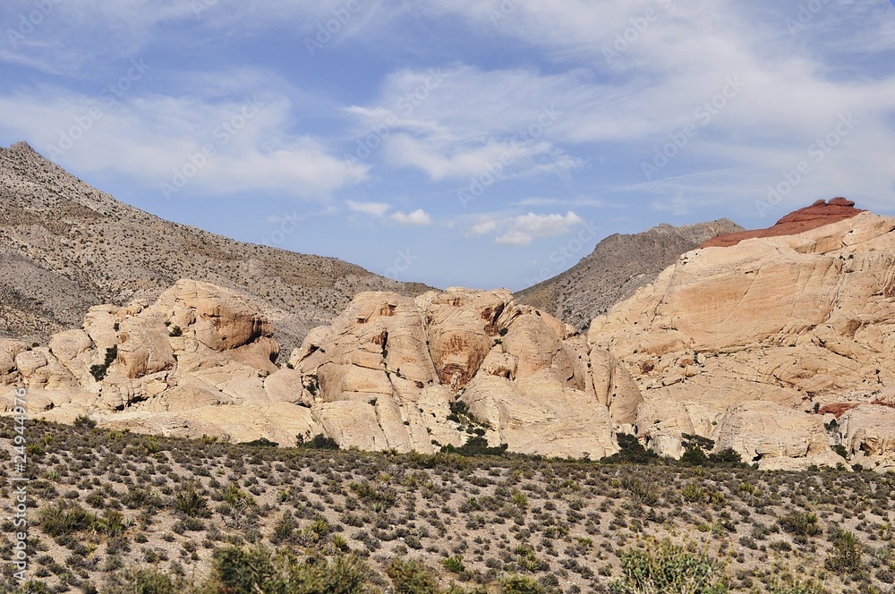 Fototapeta premium red rock canyon.nevada