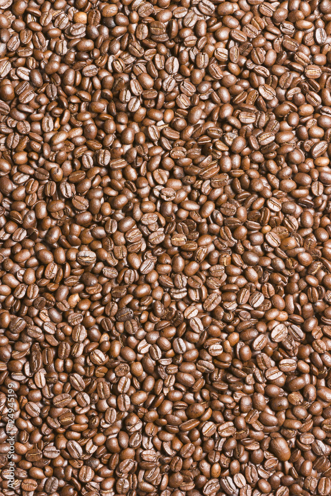 Arabica coffee beans Arabica coffee beans
