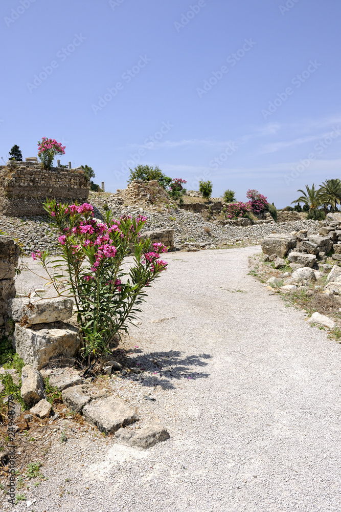 Allée dans le site archéologique de Byblos, Liban