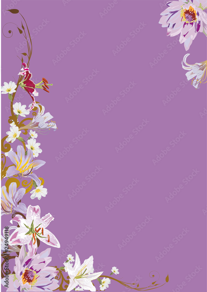 Fototapeta premium lilac illustration with lily flowers