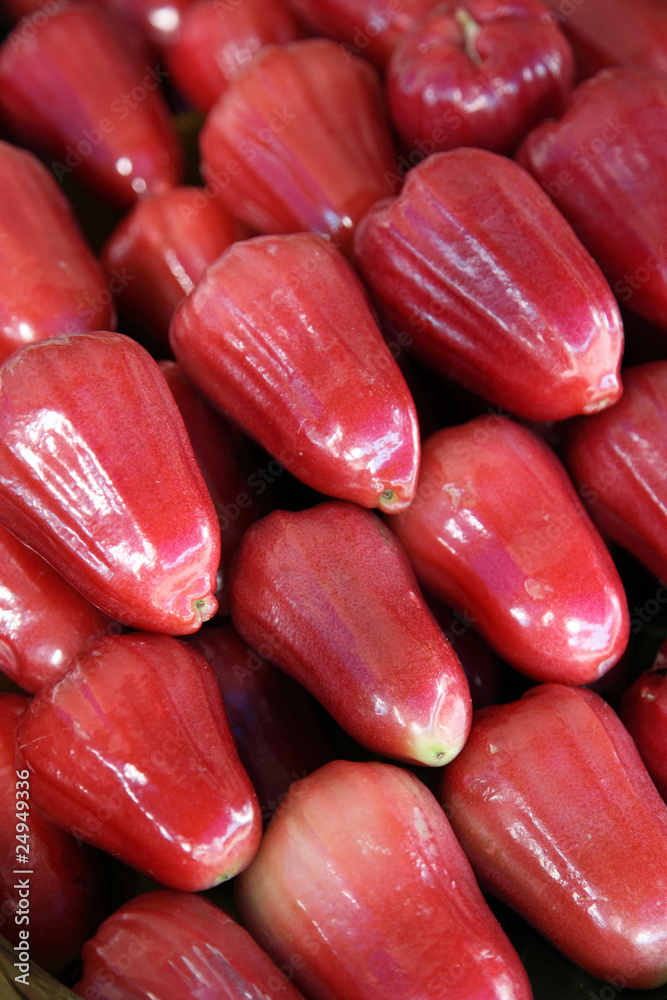 Wax apple - Samarang Rose Apple