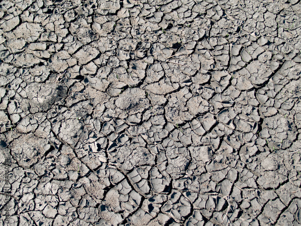 Earth