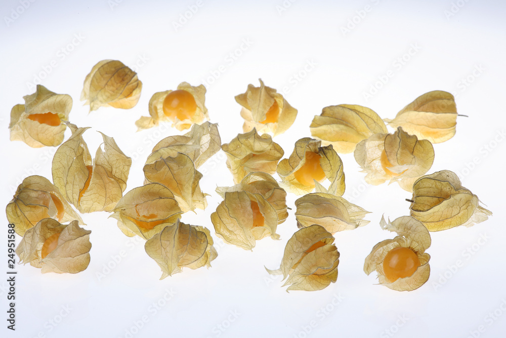 Fototapeta premium Physalis im Dutzend