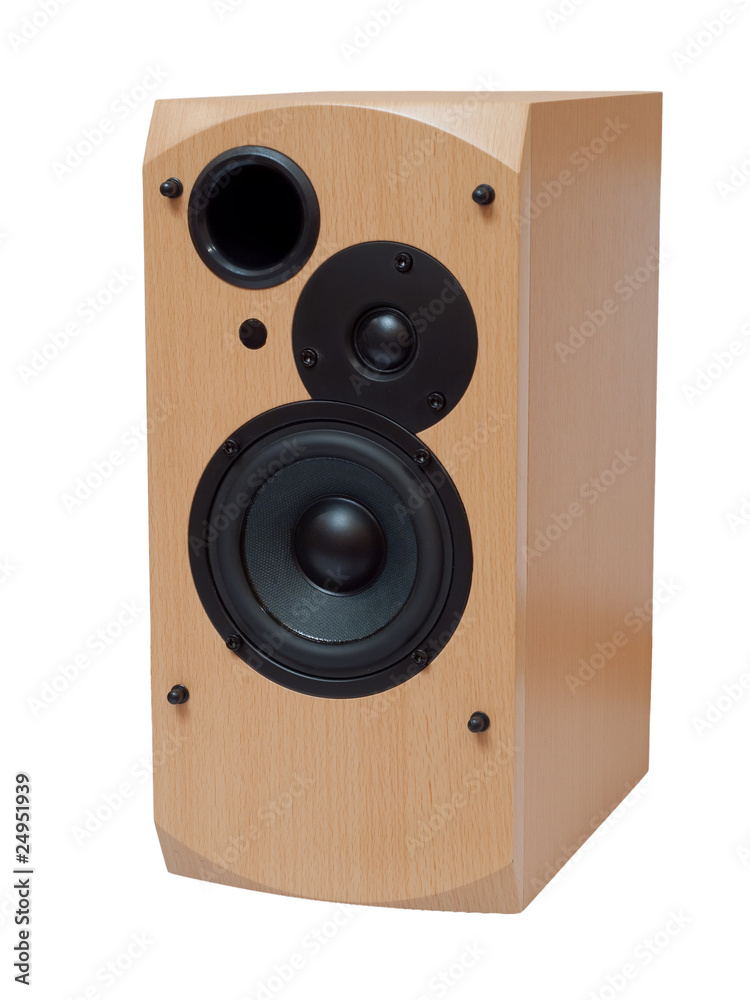 Obraz premium wooden audio speaker