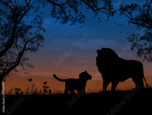 Lions on beautiful sunset