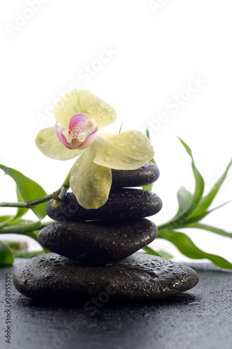 Canvas Print spa concept