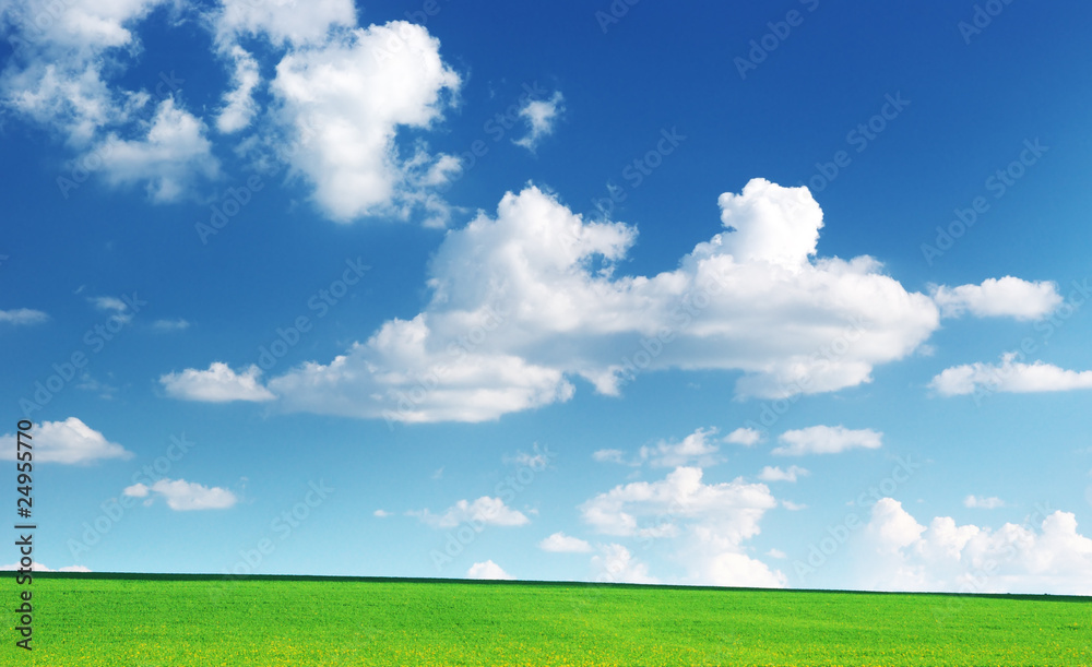 Lawn and cloudy sky Lawn and cloudy sky