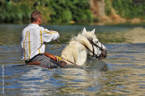 gardian traversant une rivière à cheval photo