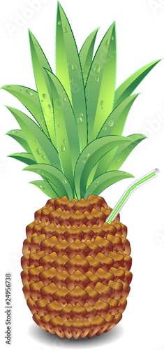 Ananas e Succo Fresco-Fresh Pineapple Juice-Vector
