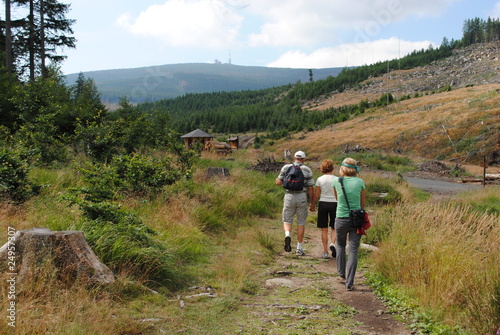 Wanderer am Brocken