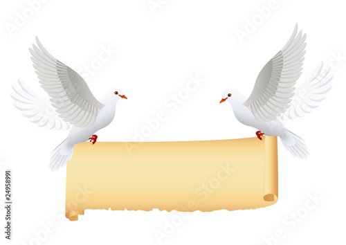 Doves with banner isolated