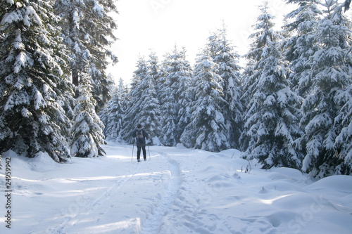 Winterlandschaft © Karina Baumgart