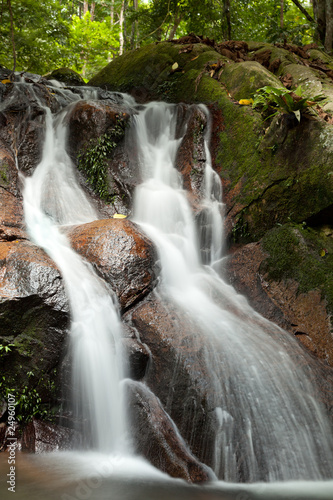 waterfall in rainforest