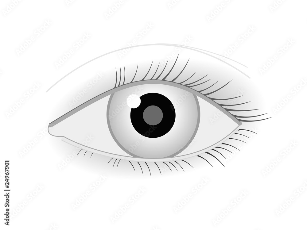 vector eye with eyelash isolated on white background vector eye with eyelash isolated on white background