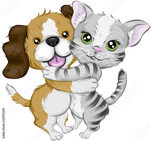 Dog and Cat