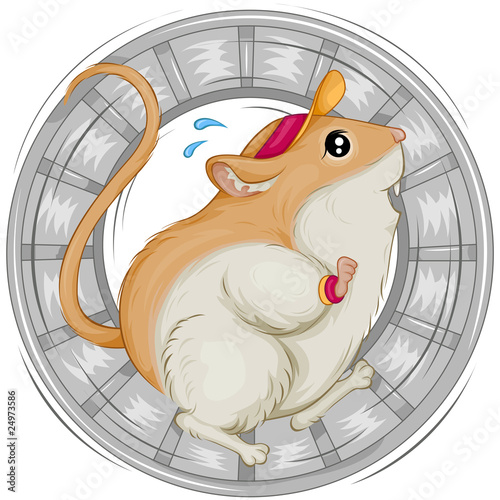 Gerbil Skittering