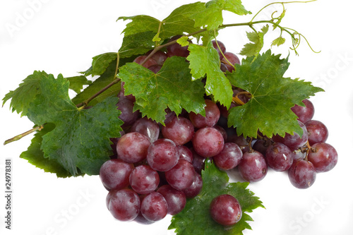 red grape with leaves