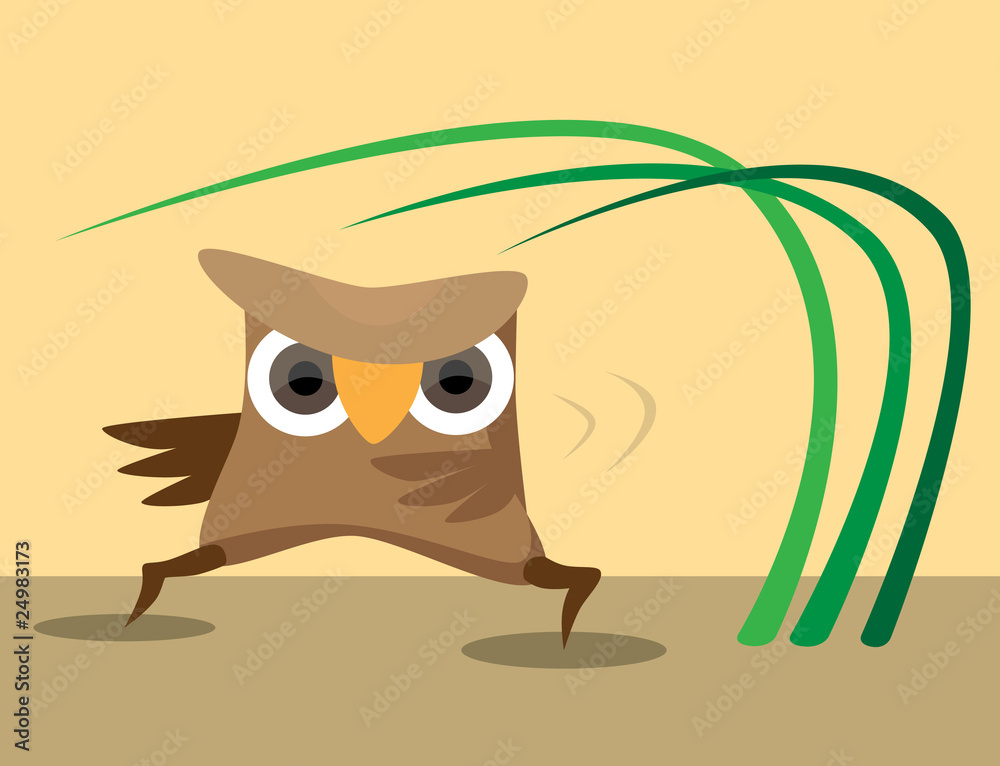 Karateka owl perform sport exercises Karateka owl perform sport exercises