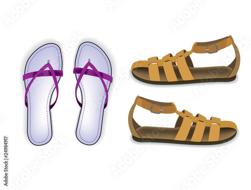 Slipper and sandal vector