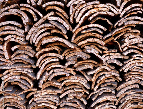 Cork oak bark in Portugal